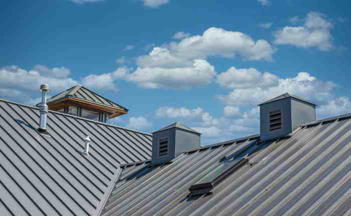 8 Types of Roof Shingles: How to Choose the Best Shingles